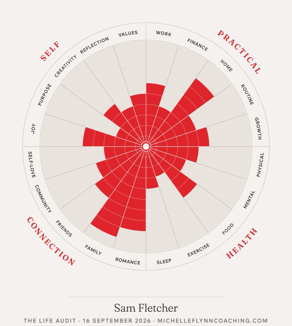 The new result: a circular wheel of 20 segments in Michelle's red, each filled from the centre in proportion to its score, with her name and the date beneath.