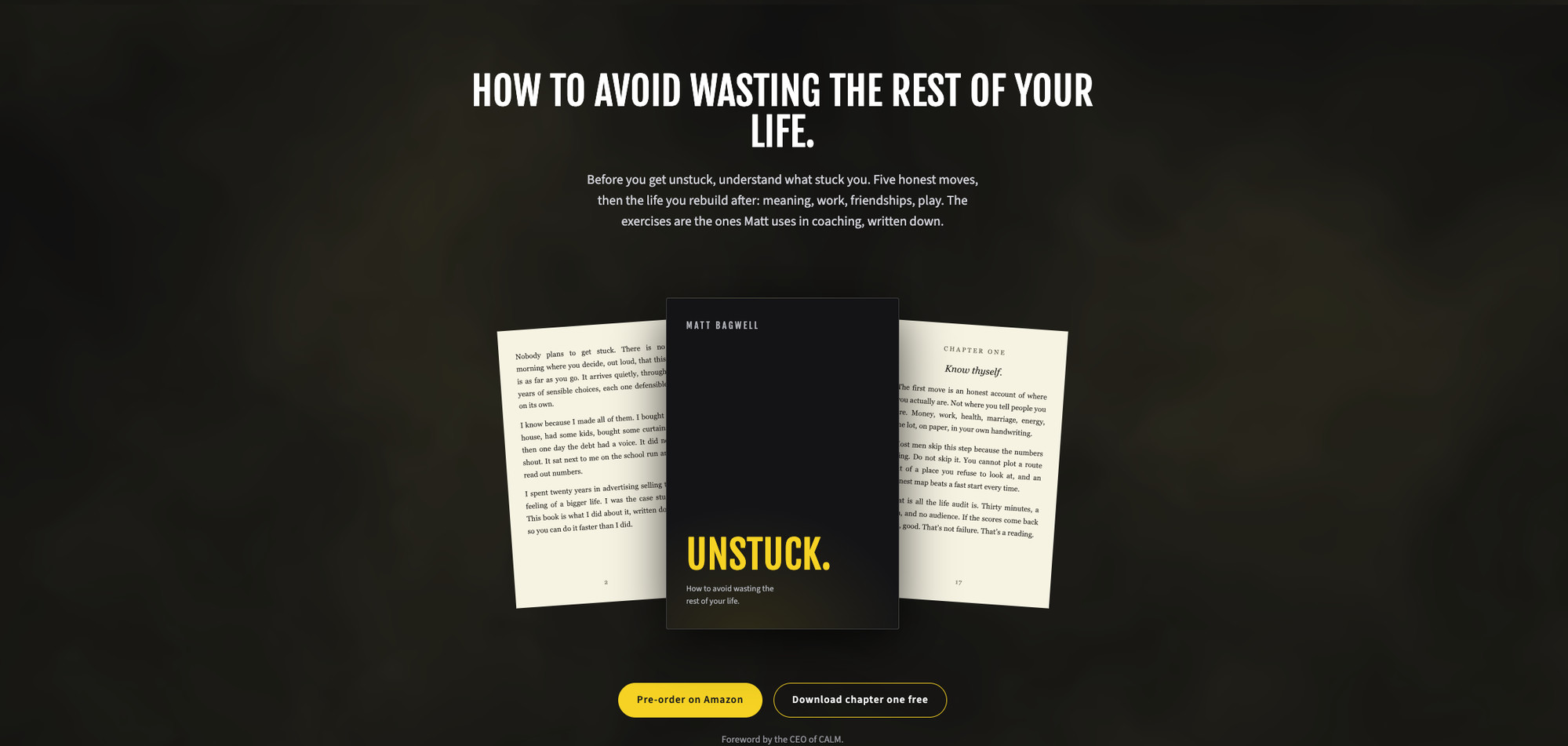The Unstuck book landing page, with the cover, sample spreads and pre-order links.